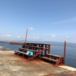 一年ぶりのタコ