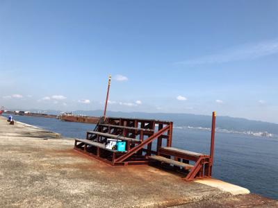 一年ぶりのタコ