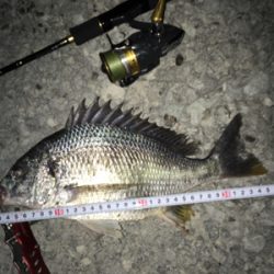 梅雨に入る前に