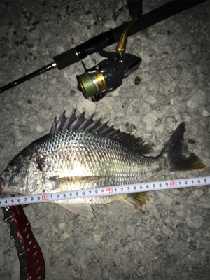 梅雨に入る前に