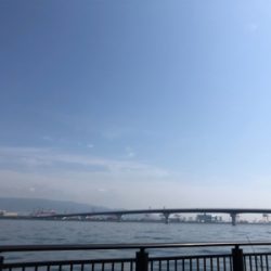 平日でも人が多い❗️青物どこ❓