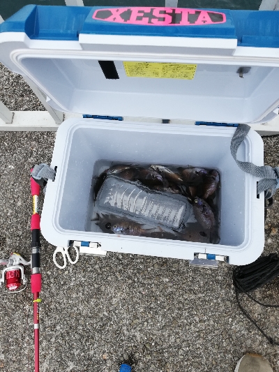 ファミリーフィッシング