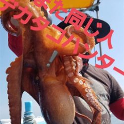 ステイゴールド　タコ　　