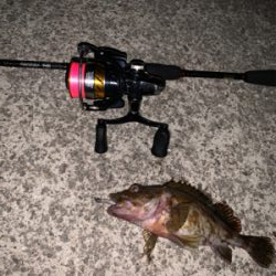 いつも通りのガシリング。