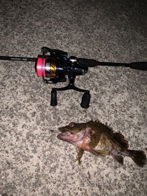 いつも通りのガシリング。