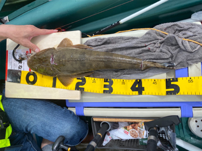 二馬力ボート初釣行