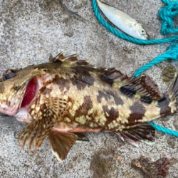 暗いうちから、、