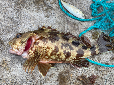 暗いうちから、、