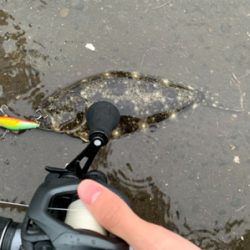 ソゲアンドソゲ