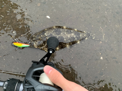 ソゲアンドソゲ