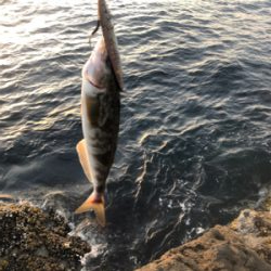 ラピードF160でまさかの…笑