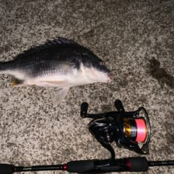 まさかまさかのチニング