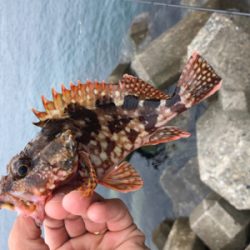 出雲〜萩尾にて