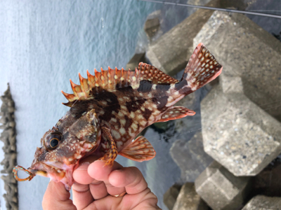 出雲〜萩尾にて