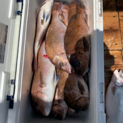 釣堀水宝さんにて