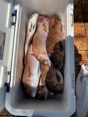 釣堀水宝さんにて