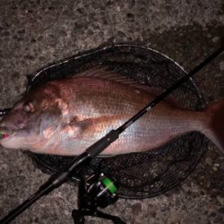 ブラックandレッド？