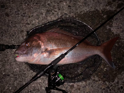 ブラックandレッド？