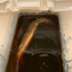 舞鶴沖　イカメタル