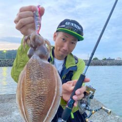 小潮のエギングは釣れる☆GUNNING-STYLE