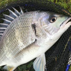 濁りで爆釣！？ならず…