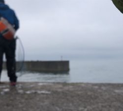 エギングのはずがサバサバサバ