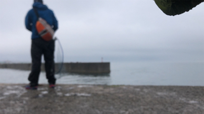 エギングのはずがサバサバサバ