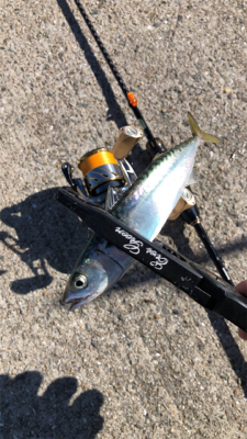 サバゲー楽しい！