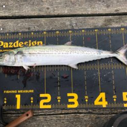 初めての筏でショアジギング