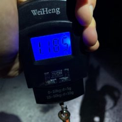 雨天エギング。