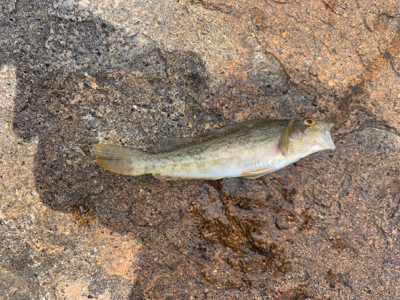 キス狙いでしたが…