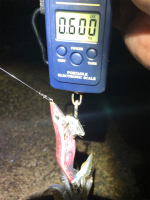 雨上がりの釣行