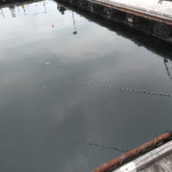 雨上がりは辛い