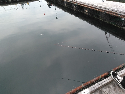 雨上がりは辛い