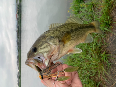 大雨後の増水時に！