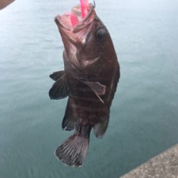 ライトロックゲーム