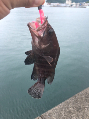 ライトロックゲーム