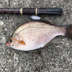 ウキフカセと投げ釣り