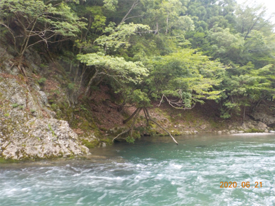 増水後、いかに?