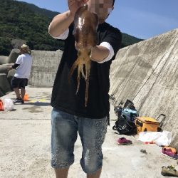 アオリイカ何とか一杯