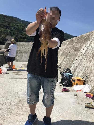 アオリイカ何とか一杯