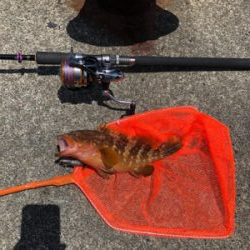 久しぶりの日本海