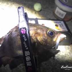 フロートメバリング