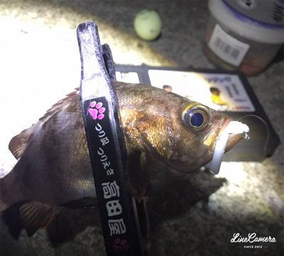 フロートメバリング