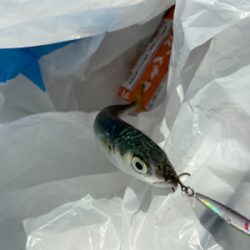 ULSJでサバサバ^_^