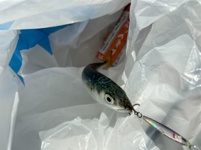 ULSJでサバサバ^_^