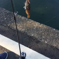 外道の方が大きいパターン