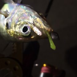 アジング練習 153