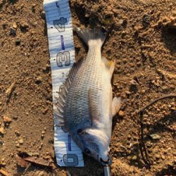 いい感じになってきました!