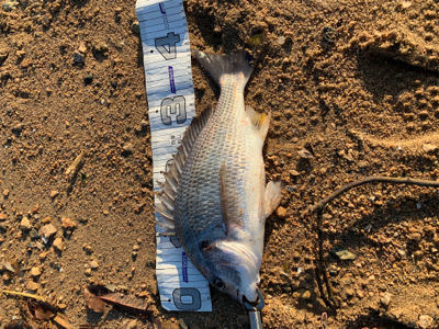 いい感じになってきました!